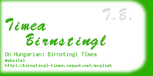 timea birnstingl business card