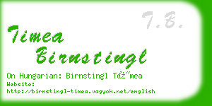 timea birnstingl business card